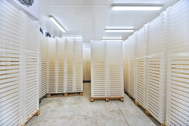 Cold Room Factory